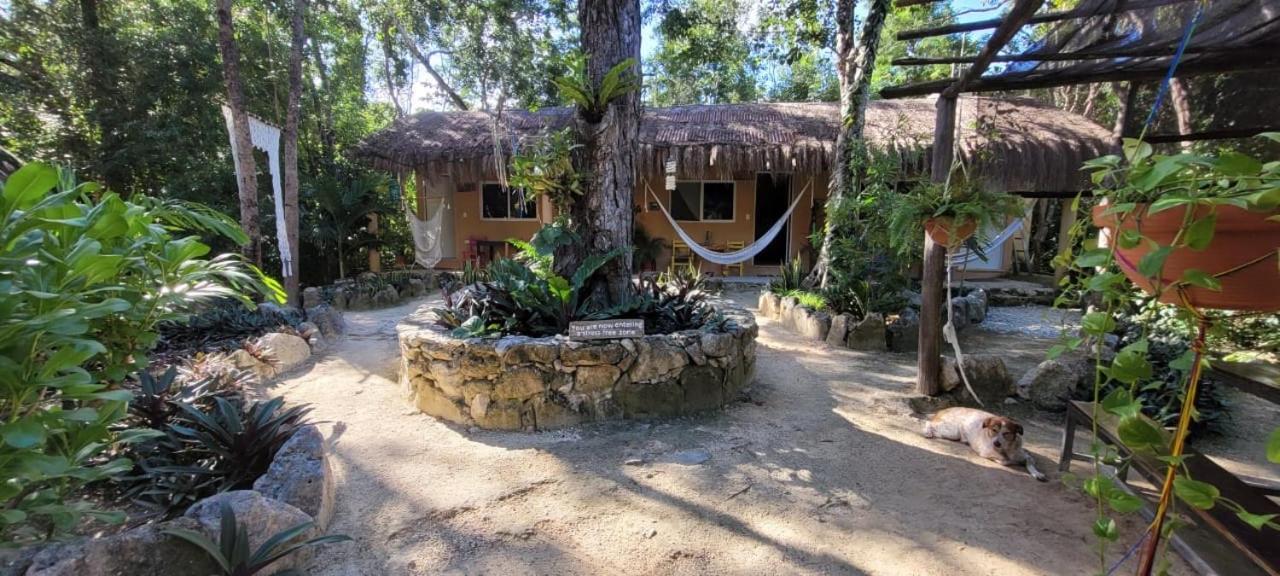 Casa Tzalam Tulum Selva Bed & Breakfast Exterior photo