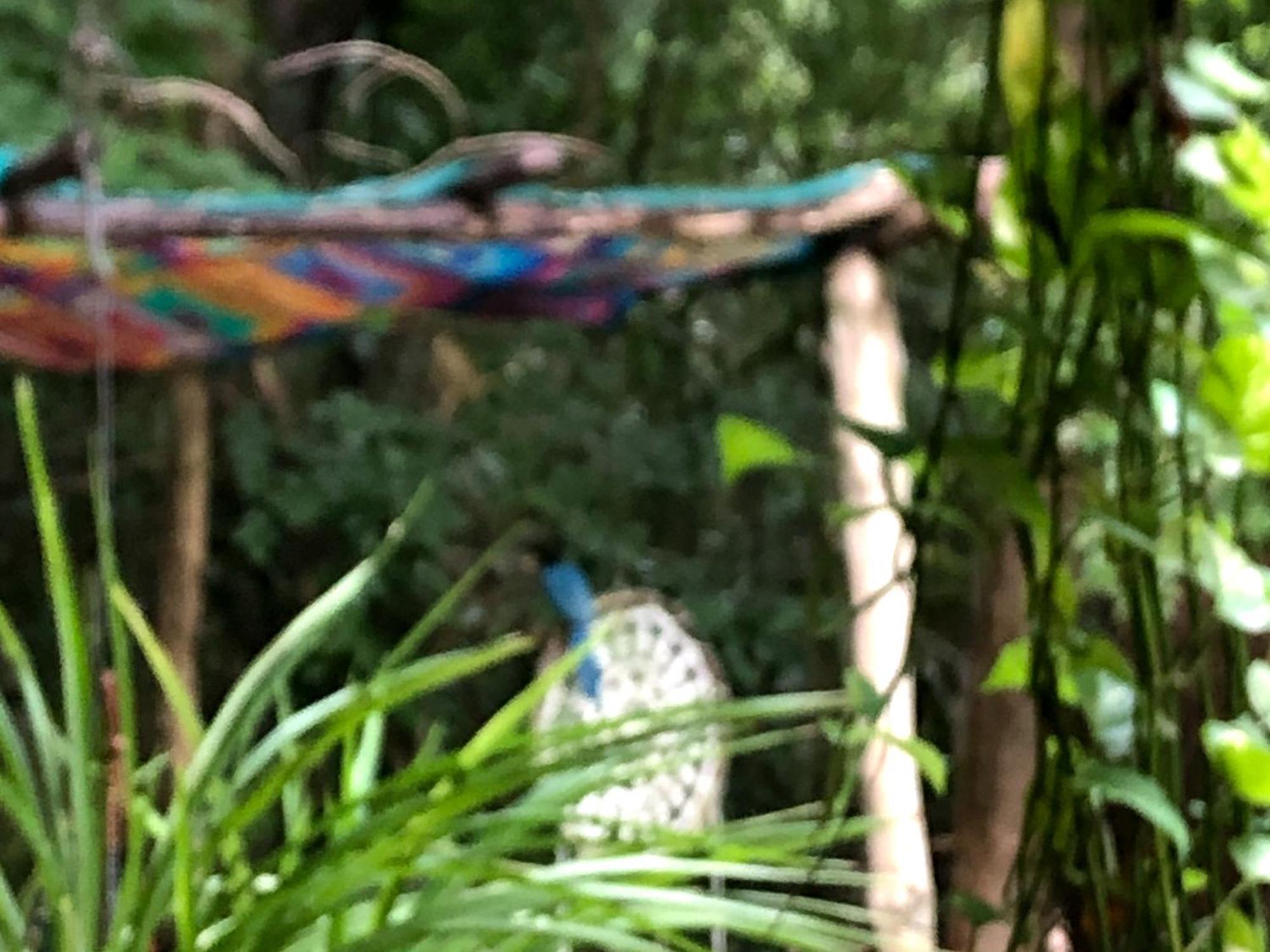 Casa Tzalam Tulum Selva Bed & Breakfast Exterior photo