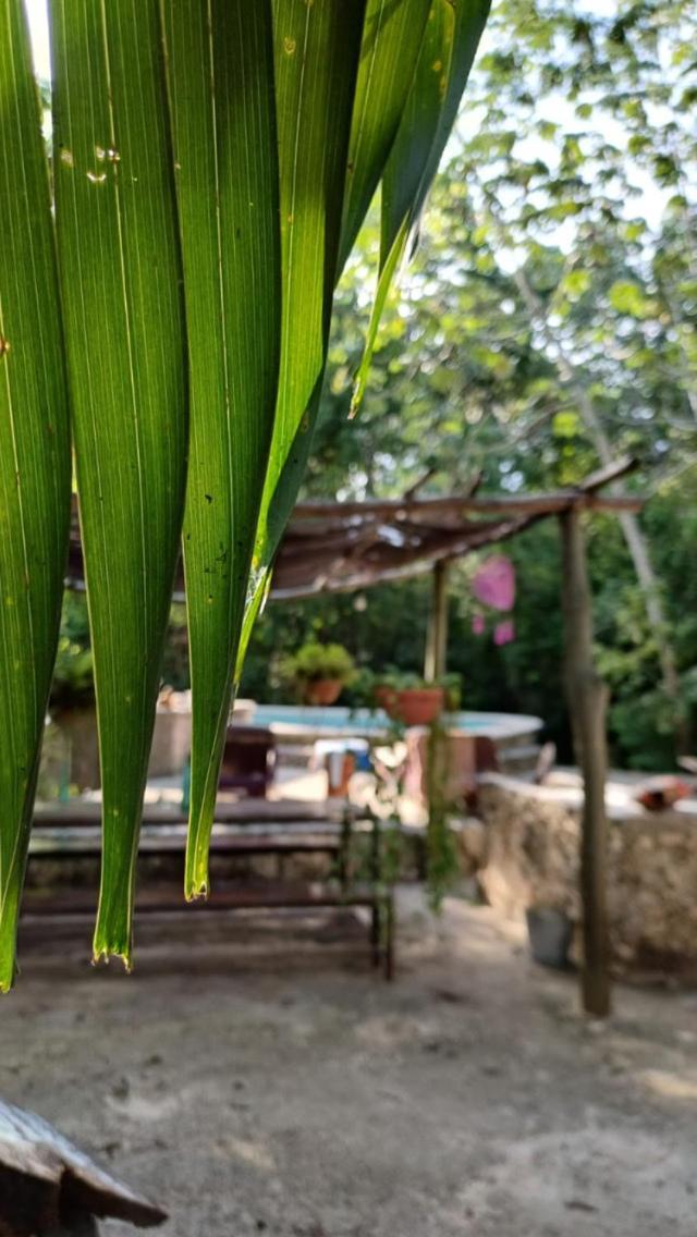 Casa Tzalam Tulum Selva Bed & Breakfast Exterior photo