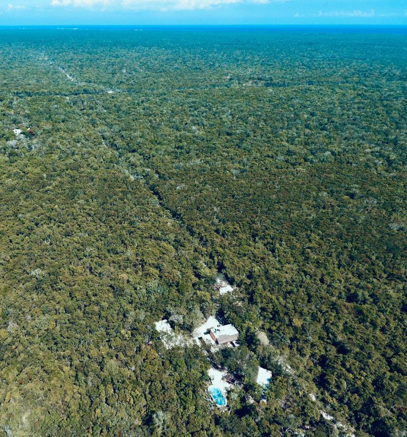 Casa Tzalam Tulum Selva Bed & Breakfast Exterior photo